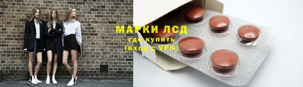 дмт Алзамай