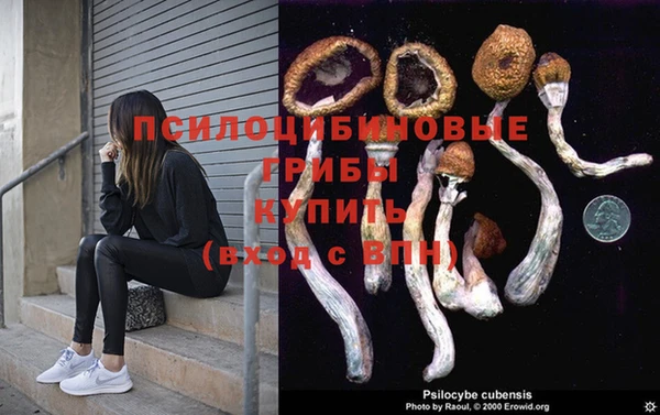 дмт Алзамай