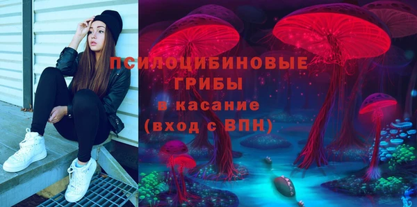 дмт Алзамай