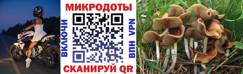 Галлюциногенные грибы MAGIC MUSHROOMS  мега онион  Новосиль 